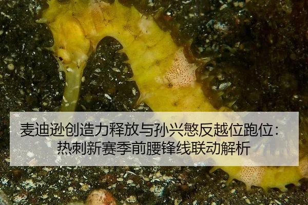 麦迪逊创造力释放与孙兴慜反越位跑位：热刺新赛季前腰锋线联动解析