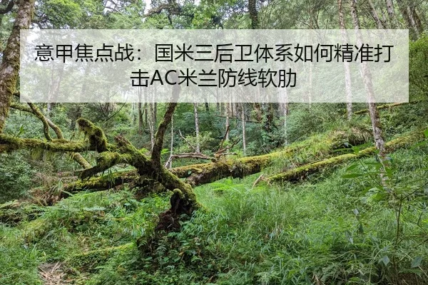 yi-jia-jiao-dian-zhan-guo-mi-san-hou-wei-ti-xi-ru-he-jing-zhun-da-ji-mi-lan-fang-xian-ruan-lei-2-552.jpg