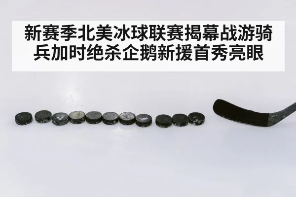新赛季北美冰球联赛揭幕战游骑兵加时绝杀企鹅新援首秀亮眼